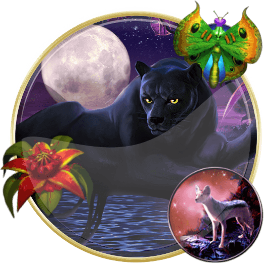 Panther Moon